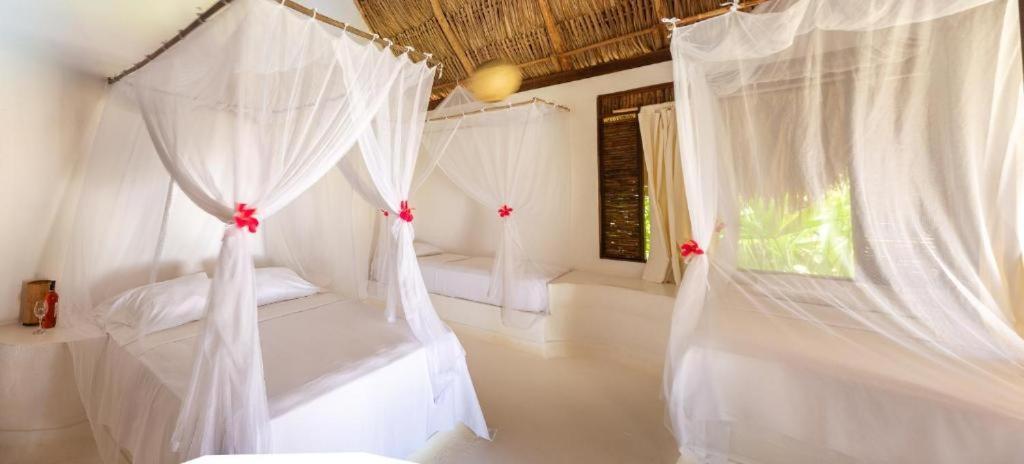 Hotel Casalina Паломино Экстерьер фото